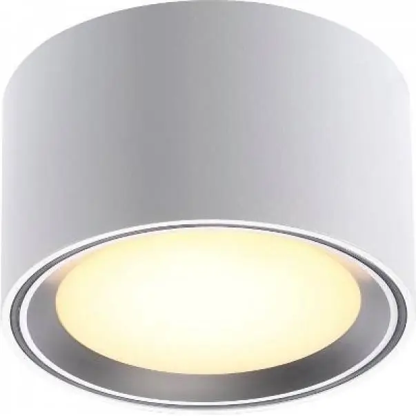 Nejlepší Cena NL 47540132 NORDLUX 47540132 Fallon - Moderní stropní LED svítidlo 6cm, ocel Nordlux