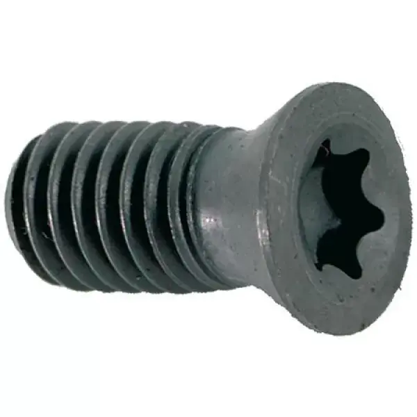 Výhodná Nabídka šroub Torx US 3006-TP09 10ks